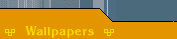 Sai Soft Technologies - Web Designing & Software Development Company